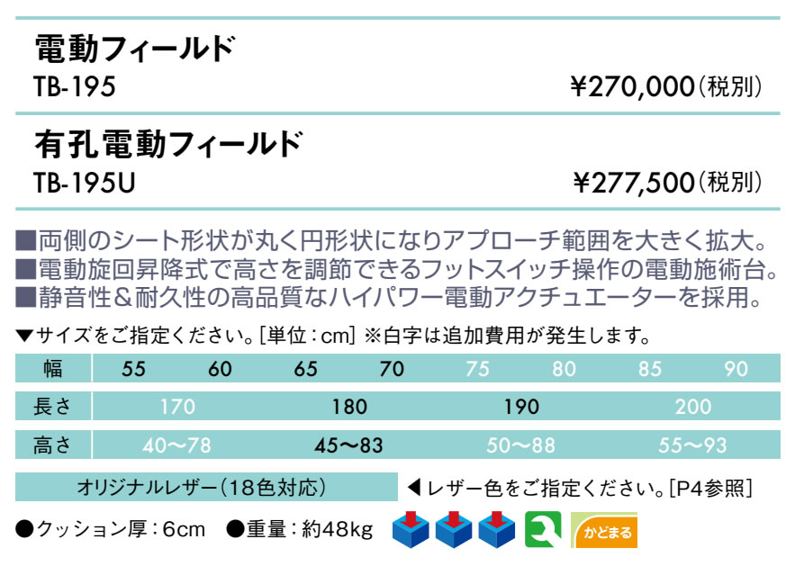 エンバシー 高田ベッド正規特約店の【ポイント6倍】高田ベッド 無孔電動フィールド 電動マッサージベッド 電動昇降式 電動施術台 電動昇降台 電動診察台 電動整体ベッド 電動エステベッド 施術用ベッド マッサージベッド 国産 TB-195｜アングル2