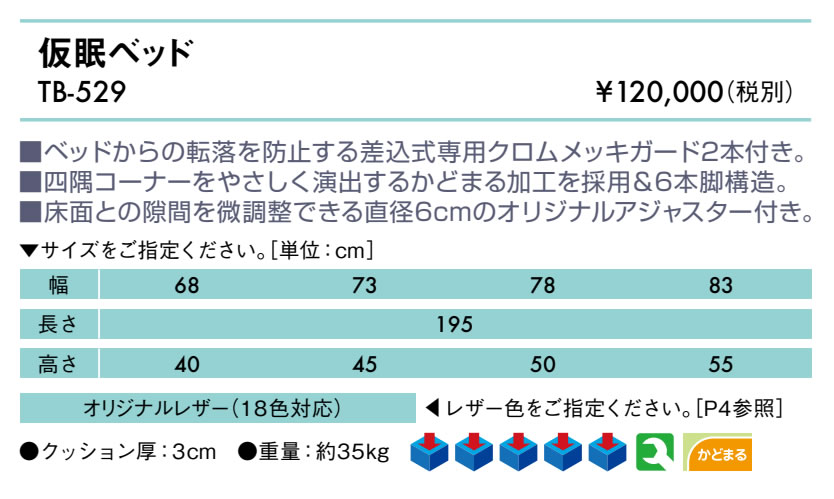 【ポイント6倍】高田ベッド リハビリ訓練ベッド リハビリベッド トレーニングテーブル リハビリベッド 訓練台 施術台 診察台 治療台 福祉 トレーニングベッド 国産 日本製 TB-110 [2]