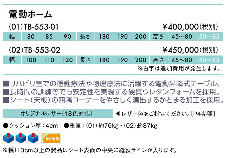エンバシー 高田ベッド正規特約店の【ポイント6倍】高田ベッド 電動ホーム（01）（送料お見積もり商品） 電動リハビリベッド 電動昇降式 プラットホーム トレーニングテーブル リハビリベッド 訓練台 幅広 施術台 診察台 治療台 福祉 国産 TB-553-01｜アングル2