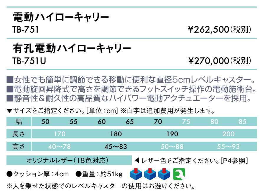 【ポイント6倍】高田ベッド 無孔電動ハイローキャリー 電動マッサージベッド 整体...