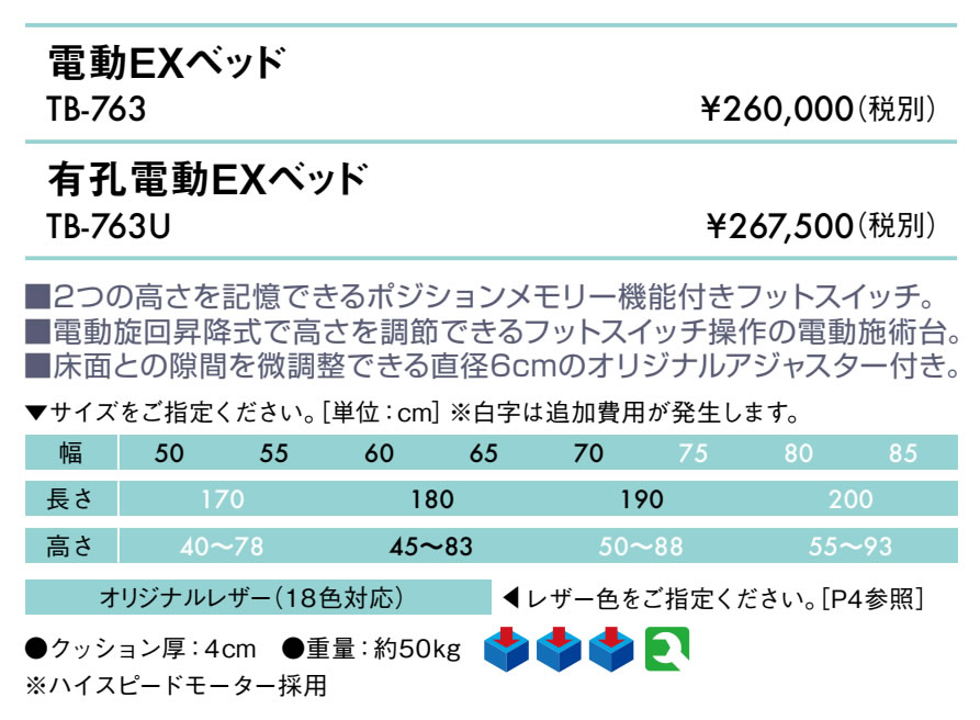 【ポイント6倍】高田ベッド 有孔電動EXベッド 電動マッサージベッド 整体ベッド 電動昇降式 電動施術台 電動診察台 電動整体ベッド 電動エステベッド 施術用ベッド 治療ベッド マッサージ台 国産 TB-763U [2]