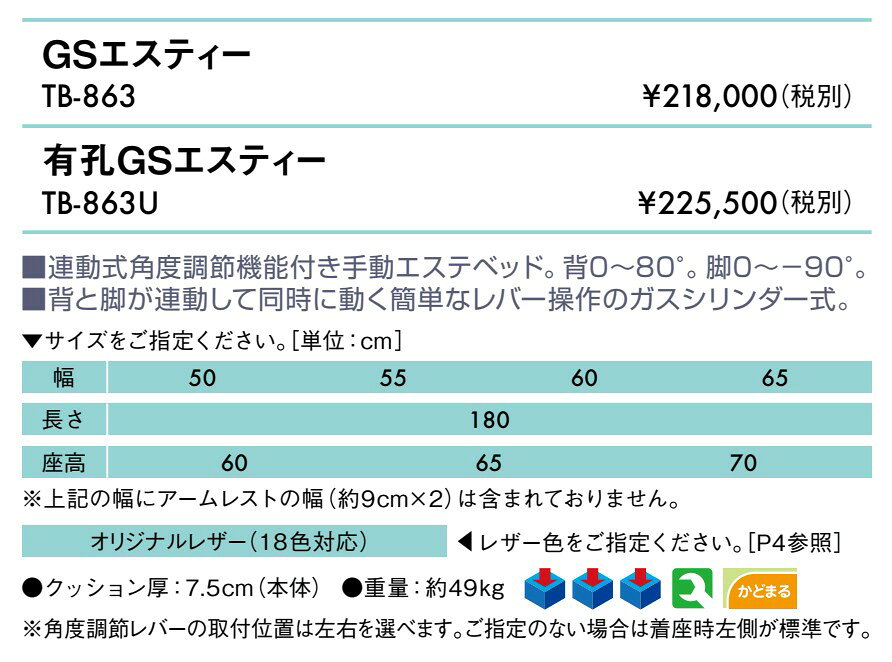 エンバシー 高田ベッド正規特約店の【ポイント6倍】高田ベッド 無孔GSエスティー エステベッド エステベッド フェイシャルベッド トリートメントベッド ボディベッド 高強度 頑丈 リクライニング調整 背上 国産 TB-863｜アングル2