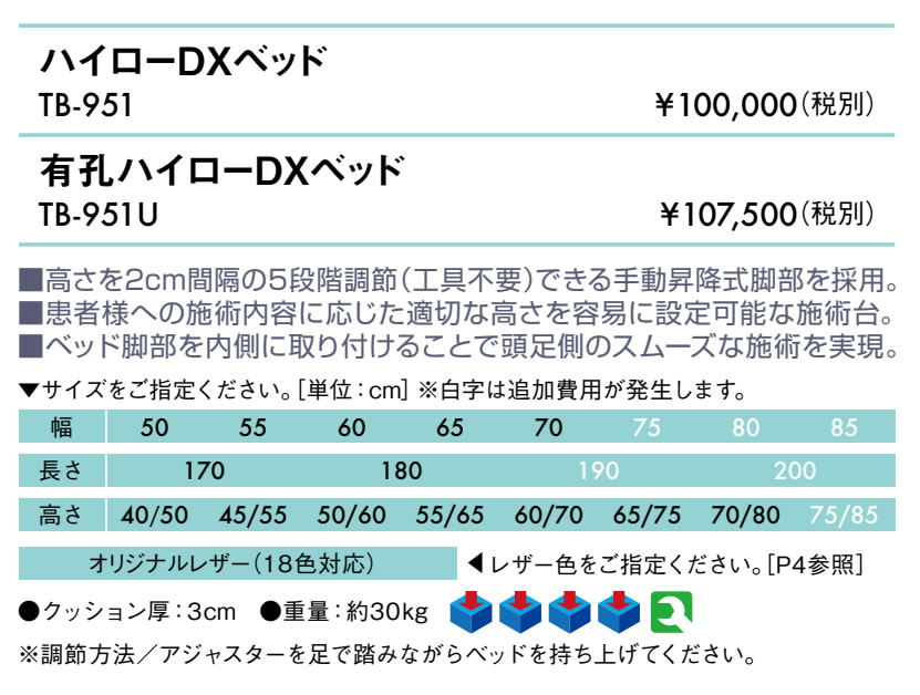 エンバシー 高田ベッド正規特約店の【ポイント6倍】高田ベッド 無孔ハイローDXベッド マッサージベッド 整体ベッド 整体 マッサージ 施術用 施術 医療用 治療用 高さ調整 ベッド ベット 台 診察台 施術台 検査台 診察ベッド 医療ベッド 治療ベッド 鍼灸ベッド 国産 TB-951｜アングル2