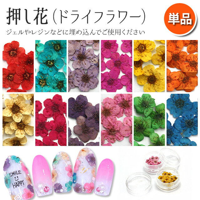 【押し花 5枚入り 単品】ドライフラワー ジェルネイル スカルプネイル レジン アクセサリー作りに大活躍！春 夏ネイルにオススメ！花 華 素材 飾り 単色 オレンジレッド パープル ピンク イエロー ベージュ グリーン ブルー【あす楽】【パーツ】