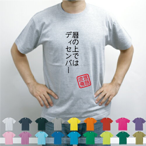 暦の上ではディセンバー/流言飛語【面白T】文字Tシャツ 半袖Tシャツ アメカジ アメリカンカジュアル B系 ストリート アメ横女学園 有馬めぐ GMT 太巻プロデュース アメ女 あまちゃん 名言 メンズ レディース キッズ