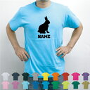 うさぎ/名入れTシャツ 半袖 夏服 春服 春コーデ 夏コーデ セミオーダーメイド チームTシャツ クラスTシャツ メンズ レディース アダルト キッズ ボーイズ ガールズ ウサギ 兎 Rabbit