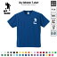 ローンボウルズ 名入れ ドライTシャツ 半袖ドライシャツ お名前入り 練習着 レディース メンズ ウェア トップス 運動着 スポーツウェア ジョギング 吸汗速乾 チームTシャツ クラスTシャツ ボウル ボウリング マイナー スポーツ 3,780円
