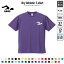水泳・競泳・スイミング2/名入れドライTシャツ 練習着 レディース メンズ ウェア トップス スポーツウェア 吸汗速乾 チームTシャツ クラブTシャツ 卒団記念品Tシャツ クロール 平泳ぎ バタフライ 自由形100 紫外線防止 UVカット ピクトグラム 3,300円