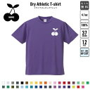 さくらんぼ 名入れ ドライTシャツ 半袖ドライシャツ ウェア トップス 運動着 スポーツウェア ジョギング 吸汗速乾 チームTシャツ クラスTシャツ 吸水速乾 UVカット 【dst】 ピクトグラム