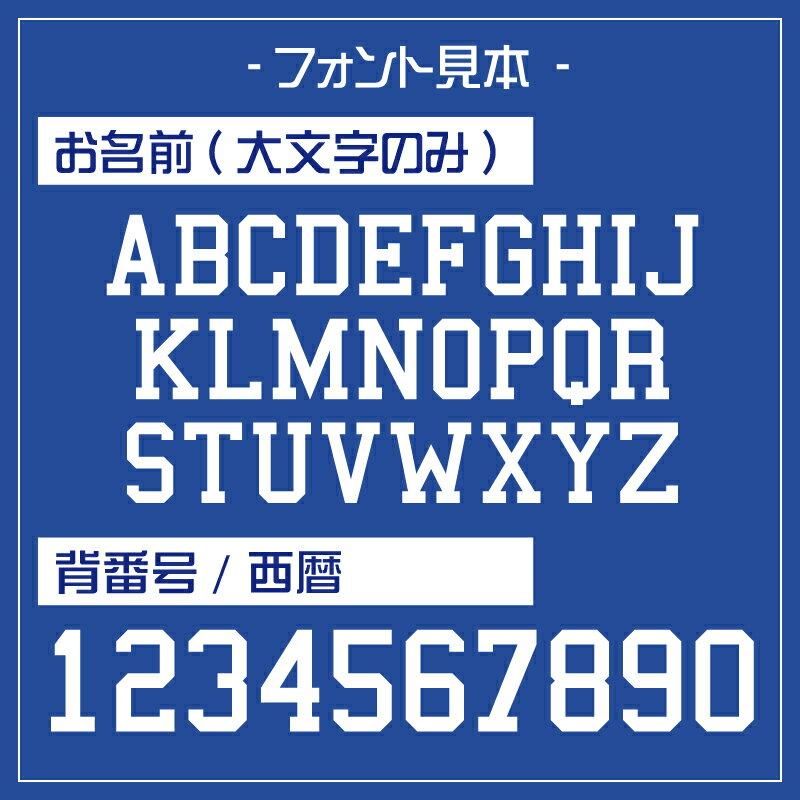 サッカーユニフォームドライTシャツ 背番号＆名入れ 日本 JAPAN サポーターグッズ ナショナルチームドライ素材 吸汗速乾 ポリエステル シルキードライ プラクティスシャツ ゲームシャツ ブルー ネイビー 応援T お名前入れ 選手名入れ UVカッ 3