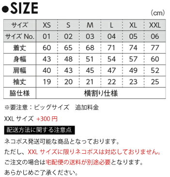 ゲートボール/名入れドライポロシャツ お名前入り 練習着 襟付き プラクティスシャツ 運動着 スポーツウェア ジョギング 吸汗速乾 チームポロシャツ クラスポロシャツ 卒部記念 卒団祝い 退団記念品 卒業祝い ポリ100 紫外線防止 UVカット