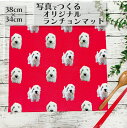 オリジナルランチョンマット「写真からつくるオーダーメイドランチョンマット」フォトプリントグッズ 記念写真 ランチ ランチグッズ おうち時間 マット作成 オーダーランチョンマット うちの子 ワンコ ねこ にゃんこ ペット オーダーグッズ 選べる20色展開 定番サイズ