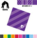 柔道2 名入れマルチクロス メガネ拭き 液晶拭き スマホ拭き PC OA ミニタペストリー 敷き物【SPMC】寝技 投げ技 スポーツ