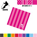 スキーヤー2 名入れマルチクロス メガネ拭き 液晶拭き スマホ拭き PC OA ミニタペストリー 敷き物【SPMC】雪 冬 板 ブーツ ポール