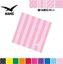 プテラノドン2 名入れマルチクロス メガネ拭き 液晶拭き スマホ拭き PC OA ミニタペストリー 敷き物【SPMC】恐竜 化石 肉食 草食 雑食 海 陸