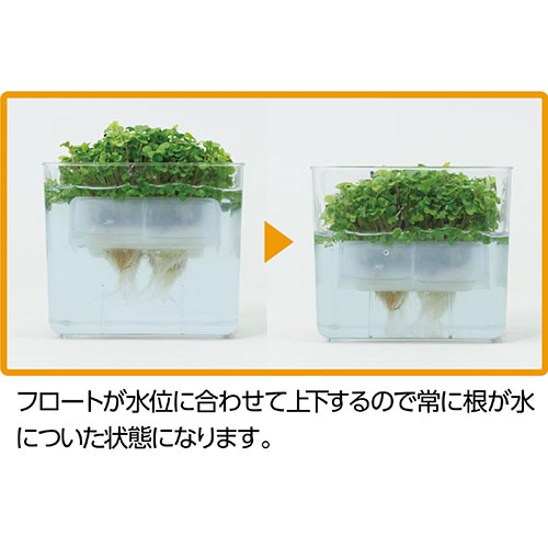 ��10�ĥ��åȡ� ARTEC ��̺��ݥ�˥å� �٥ӡ��꡼�եߥå��� ATC102966X10