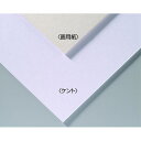 【10個セット】 ARTEC A&Bオリジナルアートボード B3画用紙 ATC143301X10