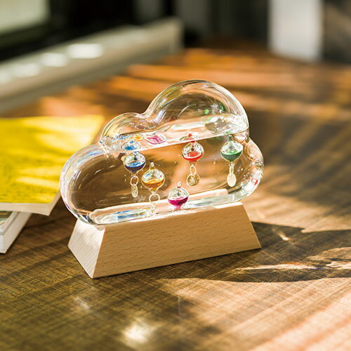 ガラスフロート温度計クラウド 2053-027