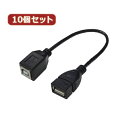 変換名人 10個セット USBケーブル20 A(メス) to B(メス) USBAB/BB20X10