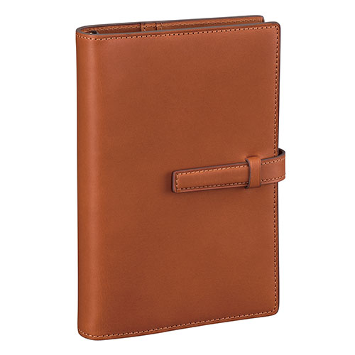 レイメイ藤井 ダヴィンチ システム手帳 オールアース (聖書サイズ) 24mm ブラウン DB4053C