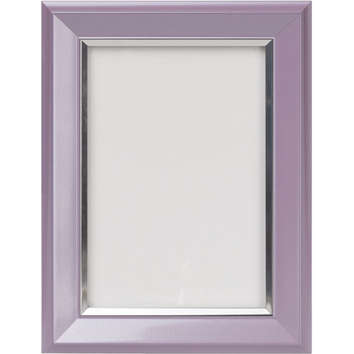 ケンコー・トキナー カラー遺影額縁 L ラベンダー PS-JIR-L-LVD