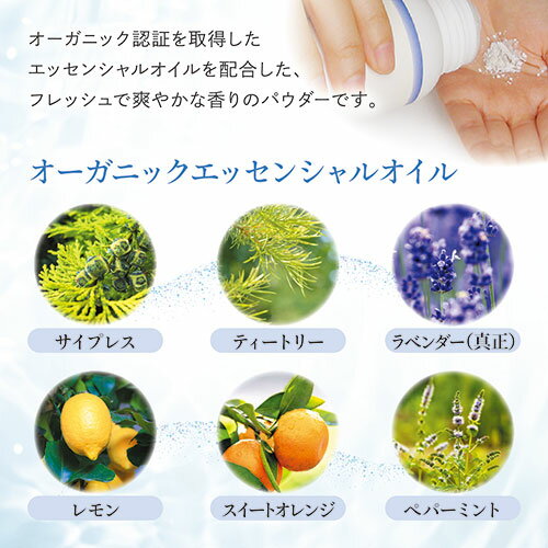 ������ �ʥ����륢���� �ܥǥ��ѥ�����S 70g SSS51007