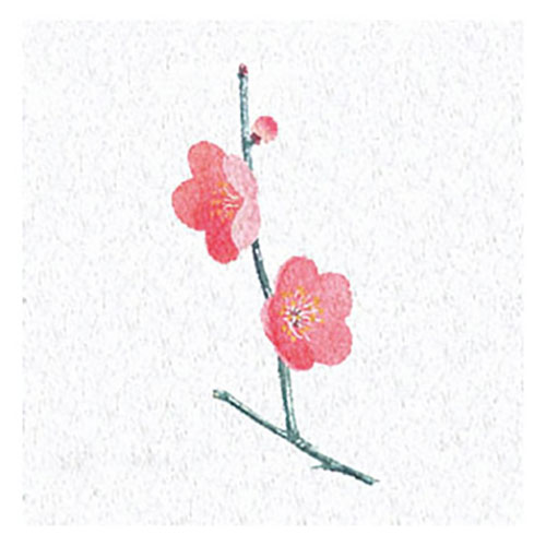 ヤマコー 用美 業務用 両面ラミ四季彩シート 梅 (200枚入) yamaco66365