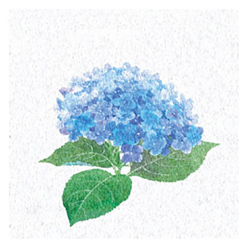 ヤマコー 用美 業務用 両面ラミ四季彩シート 紫陽花 (200枚入) yamaco66369