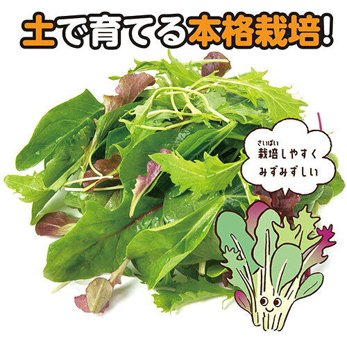 EMBL 楽天市場店のARTEC お家で楽しく栽培キット ベビーリーフ 土で育てる野菜の栽培キット ATC102932｜アングル3
