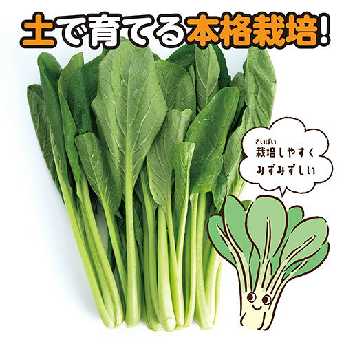 ARTEC お家で楽しく栽培キット 小松菜 土で育てる野菜の栽培キット ATC102934