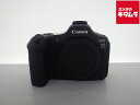 【中古】 【美品】 ミラーレス一眼レフカメラ 各種 (海外モデル) 【ミラーレス一眼】