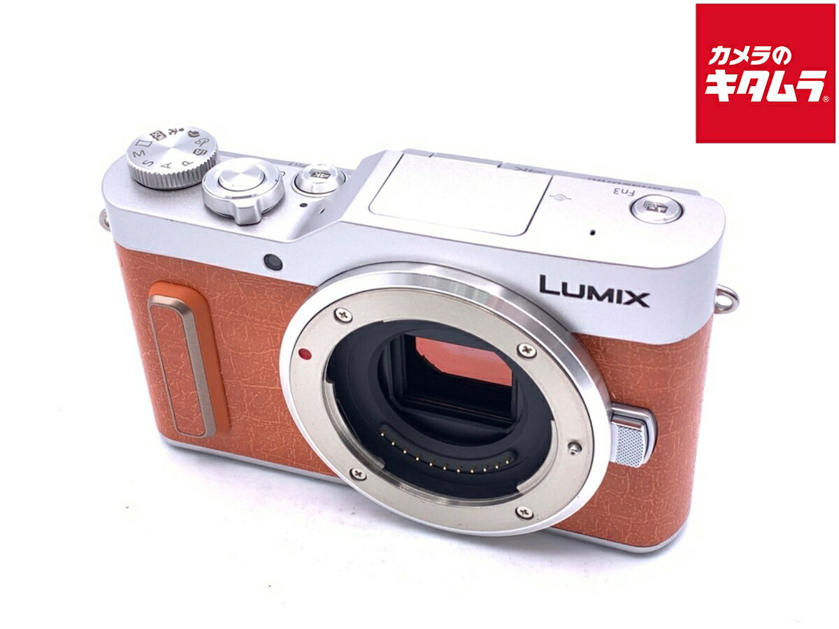 Panasonic DC-GF10