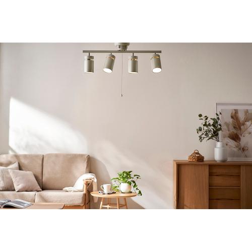 アイリスオーヤマ 4灯シーリングライト ストレート形 CE4LA-22SS-MS メタリックシルバー IRIS OYAMA メーカー公認店 新生活 常夜灯 照明 天井照明 長寿命 明るい 節電 取付簡単 寝室 和室 キッチン 照明器具 リビング照明 おしゃれ シンプル 《納期約1週間》 3