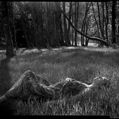 サンアイ BPA4011 PANCRO400 135-36 白黒フィルム 《納期未定》