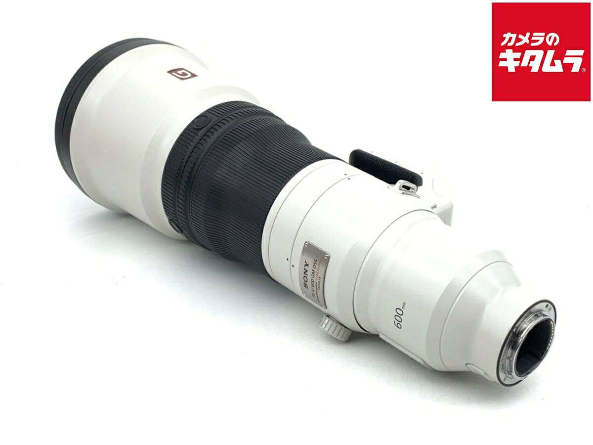 SONY FE 600mm F4 GM OSS