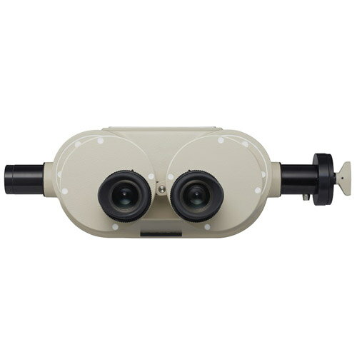 �˥��� �ԥ顼������� (�����ץ����դ�) ��Ǽ����2�����