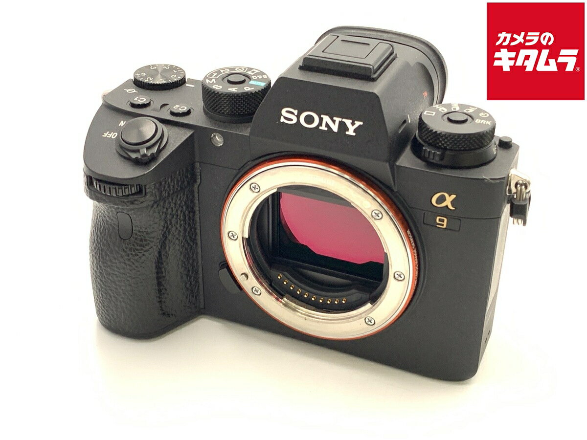 楽天市場】SONY α9（ミラーレス一眼カメラ｜デジタルカメラ）：カメラ