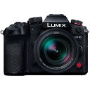 パナソニック LUMIX DC-GH6L レンズキッ