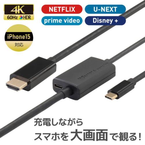 ラトックシステム USB Type-C to HDMI 変換ケーブル PD対応 RS-UCHD4K60-3M 3m