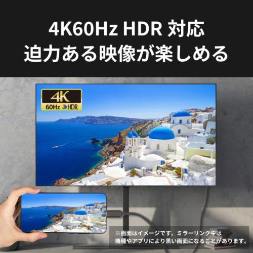 ラトックシステム USB Type-C to HDMI 変換ケーブル PD対応 RS-UCHD4K60-3M 3m