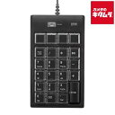 サンワサプライ NT-19UH2BKN2 プログラマブルテンキー 《納期約1−2週間》