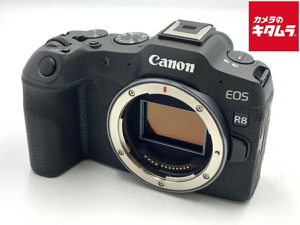 ����š� �����ʡ� ����Υ� EOS R8 �ܥǥ� �ڥߥ顼�쥹���� ��6�����ݾڡ�