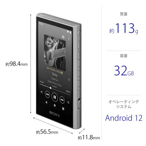 ソニー ポータブルオーディオプレーヤー ウォークマン WALKMAN NW-A306-H グレー [32GB] 《納期約1週間》