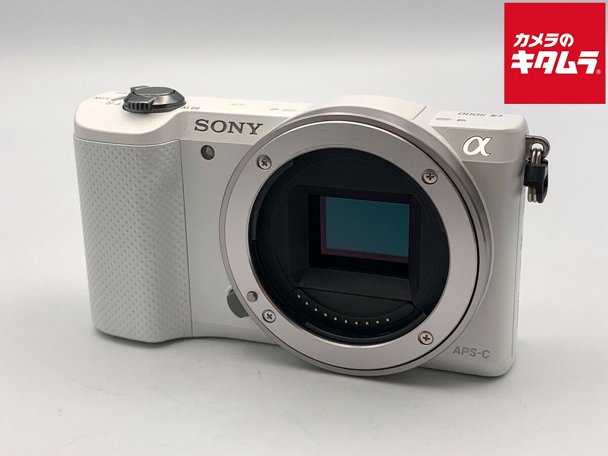 楽天市場】sony a5000の通販