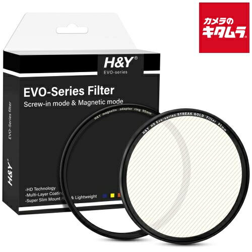 H&Y EVO ストリークフィルター 95mm ゴールド ESG95