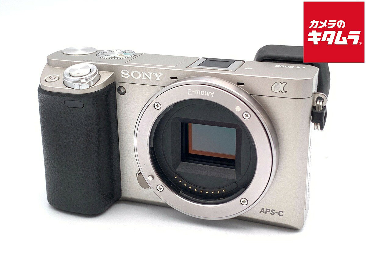 SONY α6000 ミラーレスカメラ（望遠レンズ+ACアダプター） 楽天市場】sony a6000 acアダプター（TV・オーディオ・カメラ）の通販