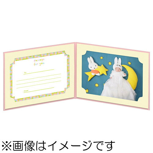 カメラのキタムラのハクバ MRCDO-LY2PK5S ランス ドゥ L (ヨコ) ピンク(5枚セット)｜アングル3