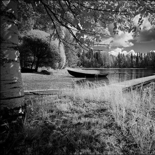 サンアイ RI4011 INFRARED 135-36 白黒赤外線フィルム 《納期未定》