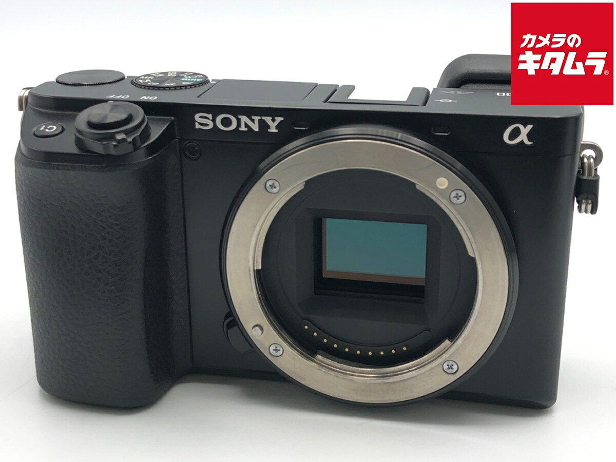 楽天市場】ソニー ミラーレス一眼 α6100の通販