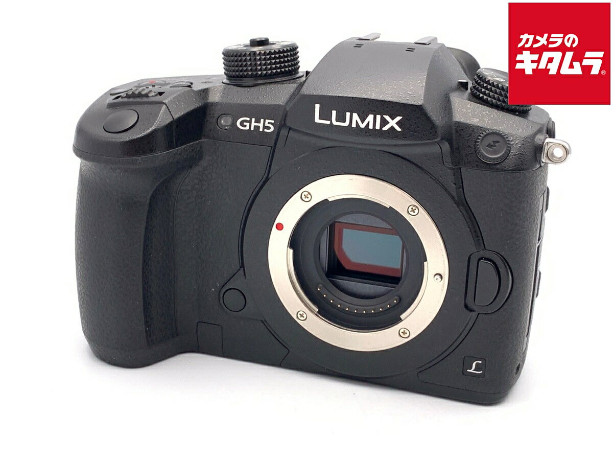 ����š� �����ʡ� �ѥʥ��˥å� LUMIX DC-GH5-K �ܥǥ� �֥�å� �ڥߥ顼�쥹���� ��6�����ݾڡ�